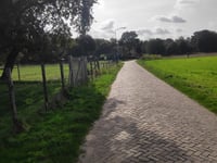 De Windhond über Kolonieweg