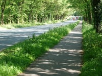 Defensieweg von Elst