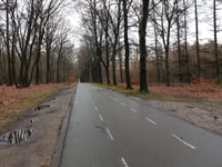 Defensieweg von Elst