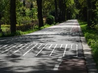 Delenseweg von Hoenderloo