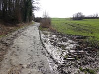 Delweg über Schaapsweideweg