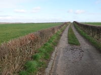 Delweg über Schaapsweideweg