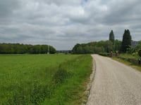 Den Aam