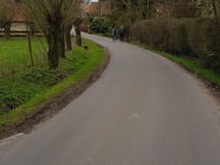 Den Ast