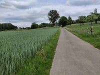 Dennebosberg von Berg
