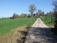 Dennebosberg von Berg