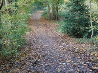 Dennenberg via Kloosterweg