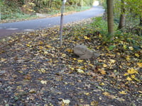 Dennenberg via Kloosterweg