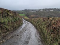 Dennington Lane from Nightcott