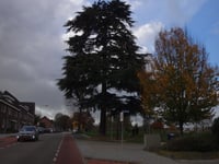 Dentgenbachweg via Laurastraat