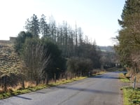 Diepenlinchen über Derichsberger Strasse
