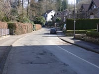 Dicke Hecke von Vicht