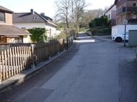 Dicke Hecke von Vicht