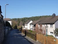 Dicke Hecke von Vicht