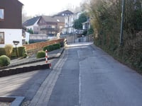 Dicke Hecke von Vicht