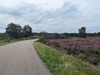 Diepe Hel