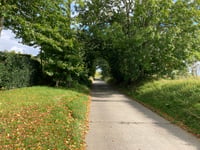 Diepestraat über Boeregemstraat
