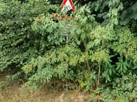 Dietenweiler über Grosse Halde Korb