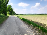 Dikkebuiksweg via Leienhuisweg