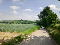 Dikkebuiksweg via Leienhuisweg