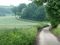 Dikkebuiksweg via Leienhuisweg