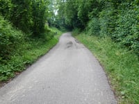 Dikkebuiksweg via Leienhuisweg