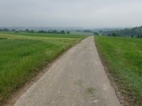 Dikkebuiksweg via Leienhuisweg