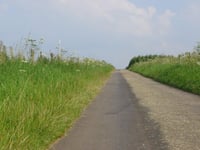Dikkebuiksweg via Leienhuisweg