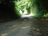 Dikkebuiksweg via Leienhuisweg