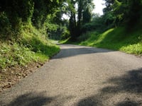 Dikkebuiksweg via Leienhuisweg