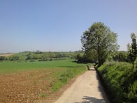 Dikkebuiksweg via Leienhuisweg