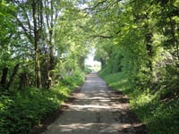 Dikkebuiksweg via Leienhuisweg