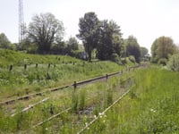 Dikkebuiksweg via Leienhuisweg