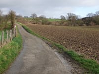 Dikkebuiksweg via Kleinveldjesweg