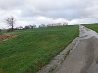 Dikkebuiksweg via Kleinveldjesweg