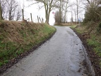 Dikkebuiksweg via Kleinveldjesweg