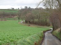 Dikkebuiksweg via Kleinveldjesweg