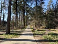 Dikkenberg über Molenbeekweg