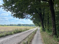 Dikkenberg via Mosweg