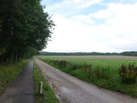 Dikkenberg via Mosweg