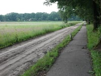 Dikkenberg via Mosweg