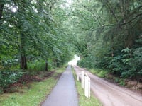 Dikkenberg via Mosweg