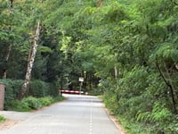 Dikkenberg via Panoramaweg