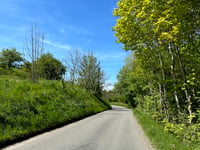 Disbjerg from Veddinge