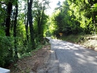 Dobenska cesta desde Loka