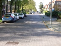 Hoogte 80 via Doctor Schaepmanlaan