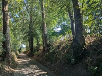 Doenrade über Vielderweg