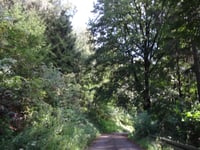 Dörenberg via Urberg