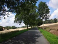 Dörenberg via Urberg