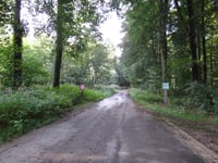 Dörenberg via Urberg